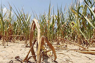 Alerte-secheresse-2020