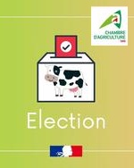 Elections